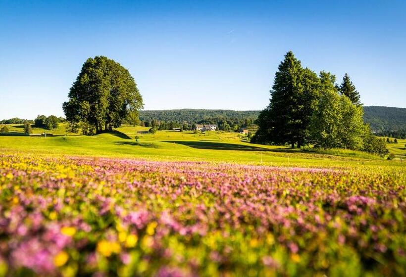 Четырехместный Номер Стандарт, Domaine Du Mont Saint Jean