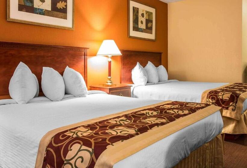 Номер Стандарт, Rodeway Inn