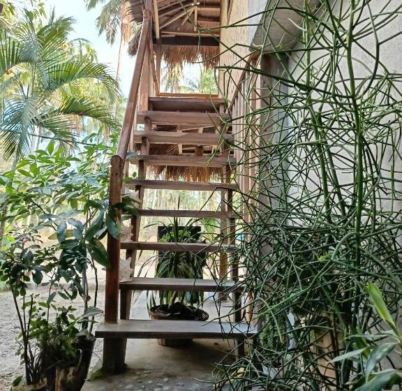 Номер Стандарт, Zhaya S Beach & Cottages