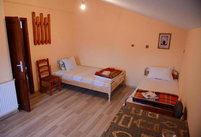 Номер Стандарт, Delieva House