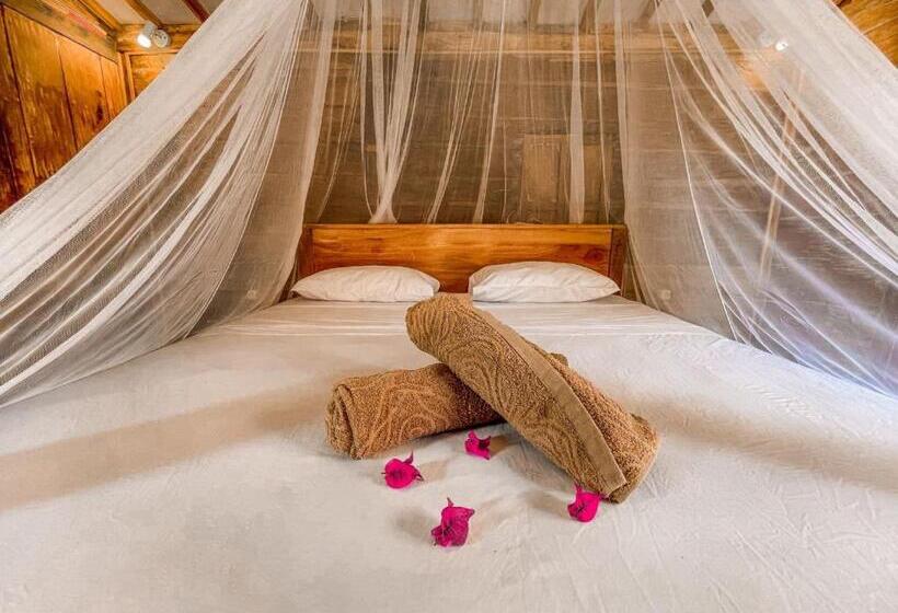 بانگلوی استاندارد, Mimpi Bungalow
