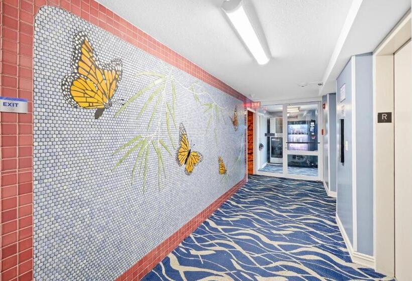 آپارتمان 1 خوابه با چشم‌انداز دریا, Pacific Monarch   1 Br   Ocean And City Views!
