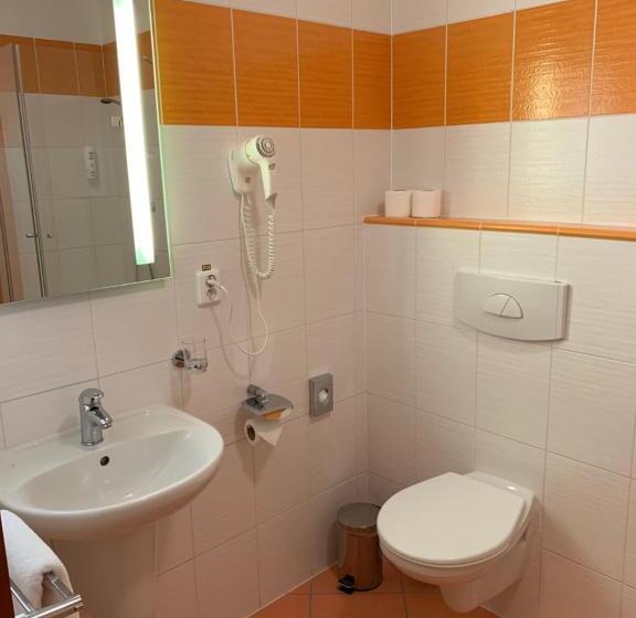 Номер Стандарт Индивидуальный, Wellness & Spa Apartments Lipno   Frymburk