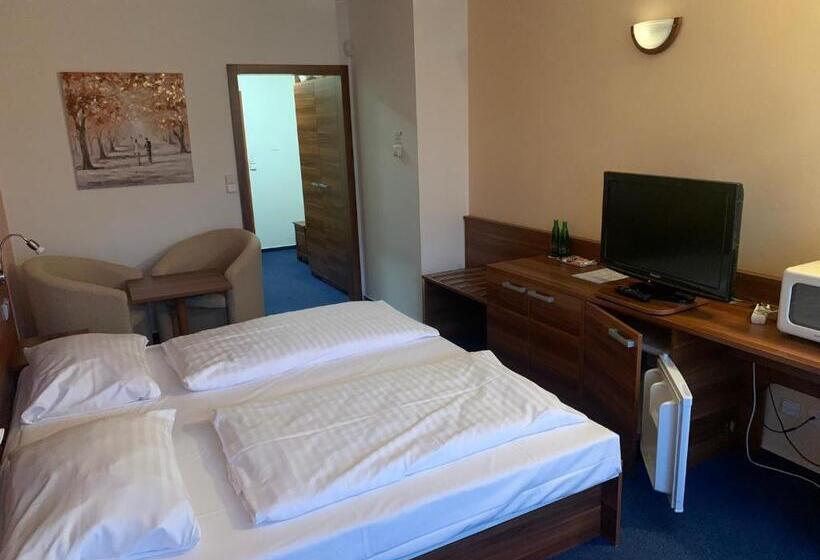 스탠다드 룸, Wellness & Spa Apartments Lipno   Frymburk
