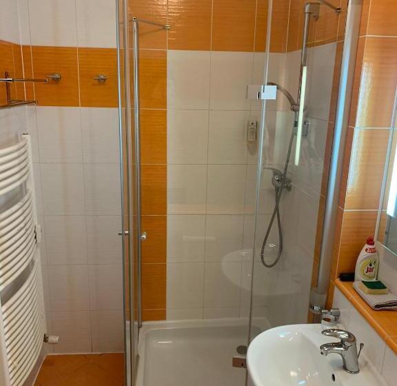 Номер Стандарт, Wellness & Spa Apartments Lipno   Frymburk
