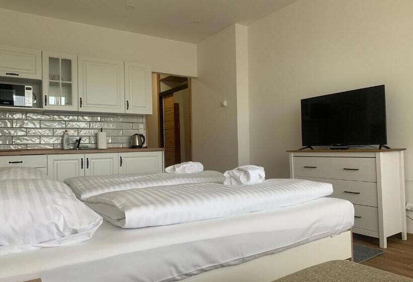 Номер Стандарт Вид на Озеро, Wellness & Spa Apartments Lipno   Frymburk
