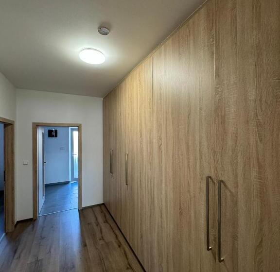Апартаменты 1 Спальня, Wellness & Spa Apartments Lipno   Frymburk
