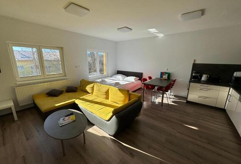Апартаменты 1 Спальня, Wellness & Spa Apartments Lipno   Frymburk