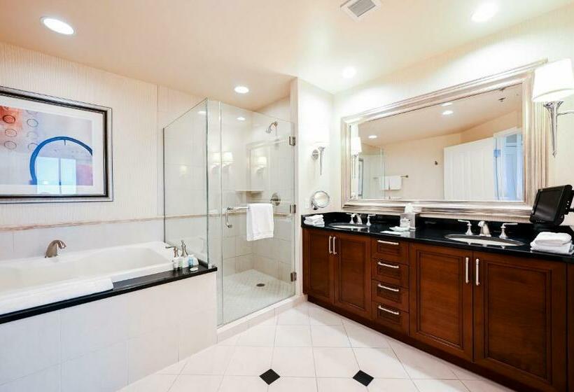 استودیوی استاندارد, Stripviewsuites At Signature