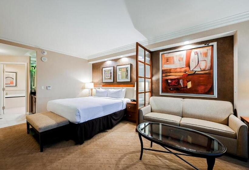 استودیوی استاندارد, Stripviewsuites At Signature