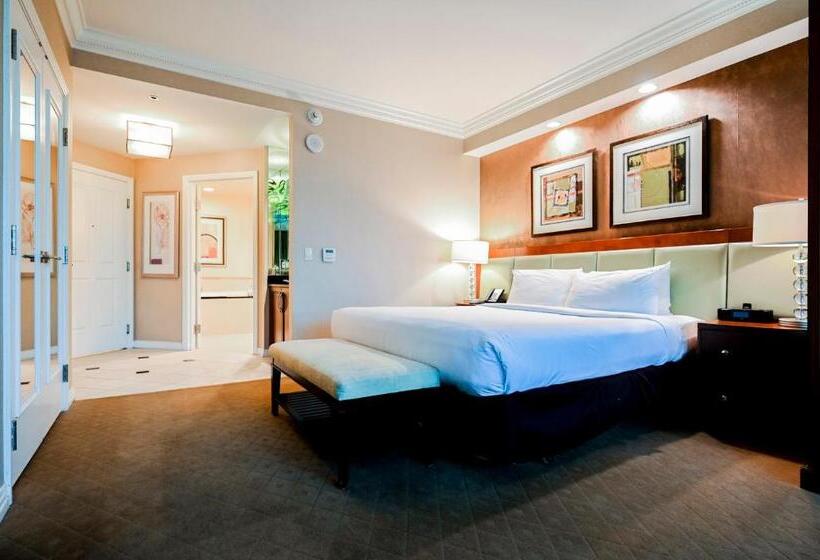 استودیوی استاندارد, Stripviewsuites At Signature