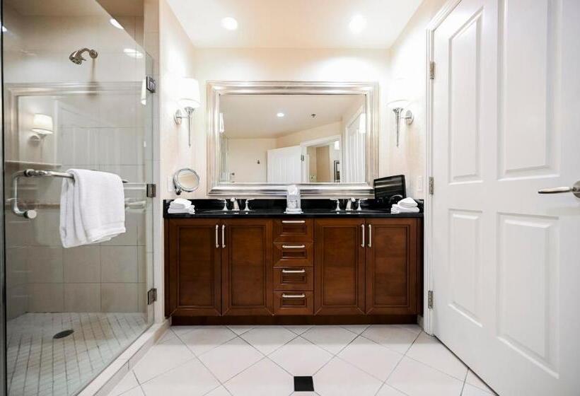 استودیوی استاندارد, Stripviewsuites At Signature