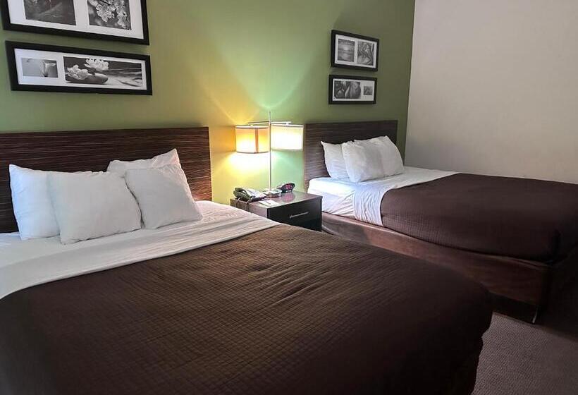 带2个双人床的标准工作室, Sleep Inn & Suites Gulfport