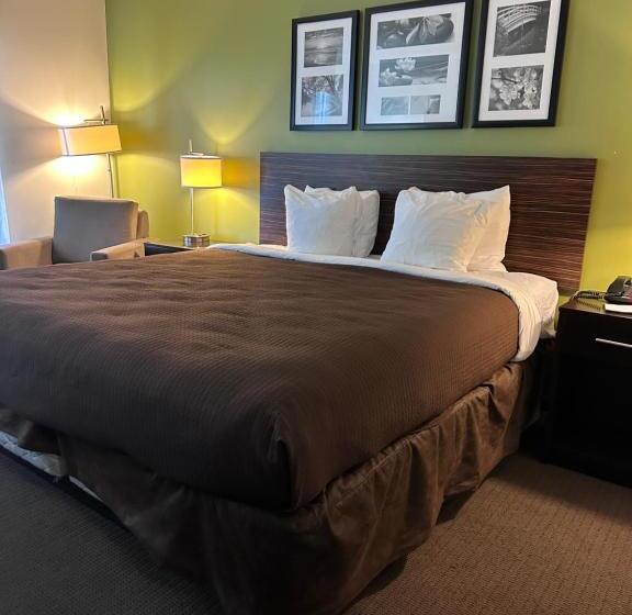 带大床的标准间, Sleep Inn & Suites Gulfport