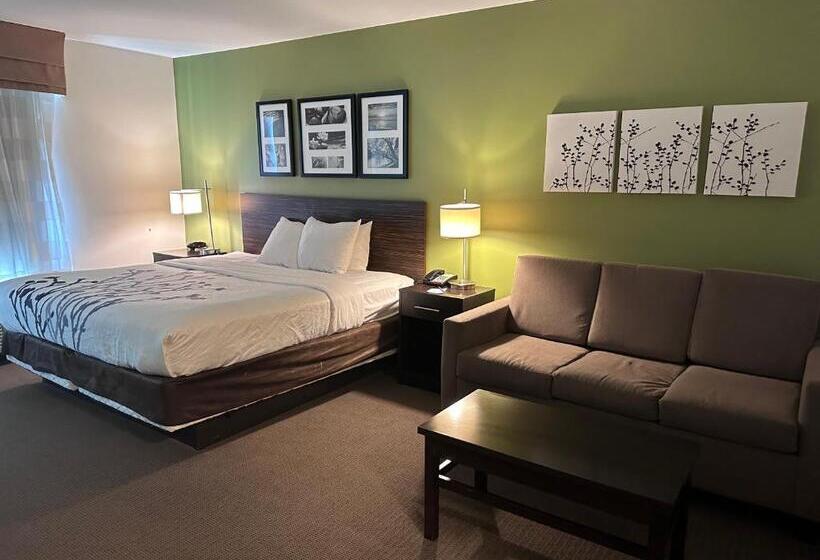 带大床的套房, Sleep Inn & Suites Gulfport