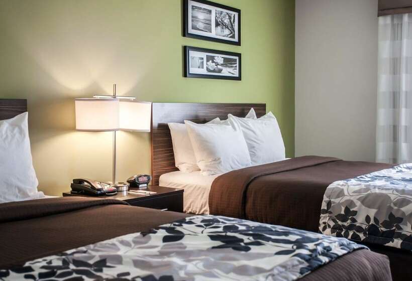 带2个双人床的标准工作室, Sleep Inn & Suites Gulfport
