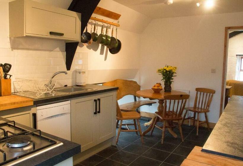 스탠다드 룸 킹사이즈 침대, James John Hamilton House And Backpacker Hostel
