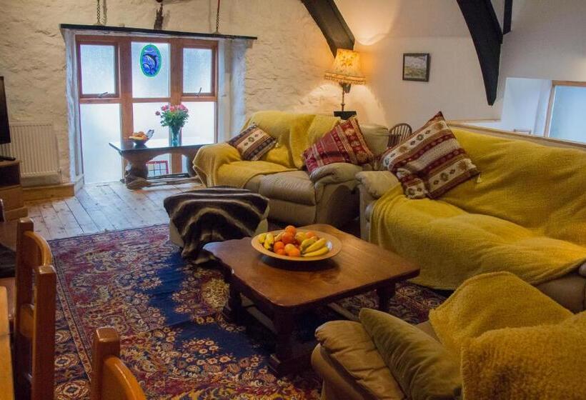 스탠다드 룸 킹사이즈 침대, James John Hamilton House And Backpacker Hostel