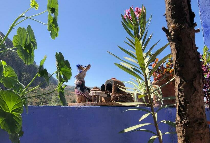 Quarto Triplo Estandar, Dar Onsar