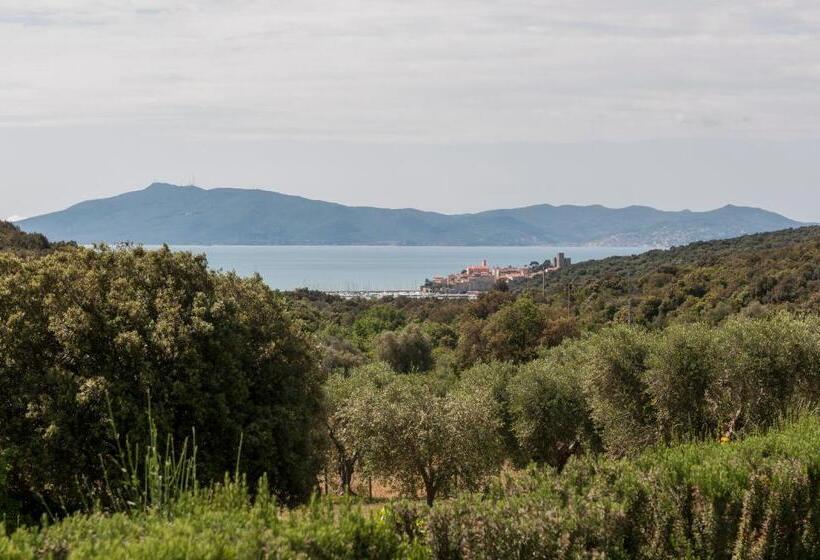 Apartamento 1 Dormitório, Tenuta Valle Buia