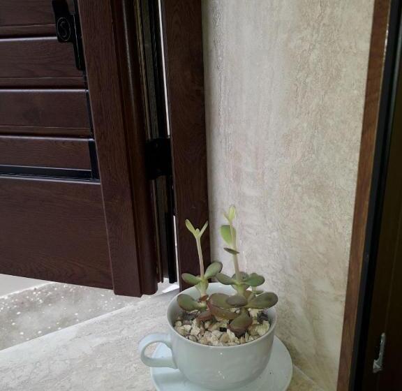 خانه 1 خوابه, Via Roma 224