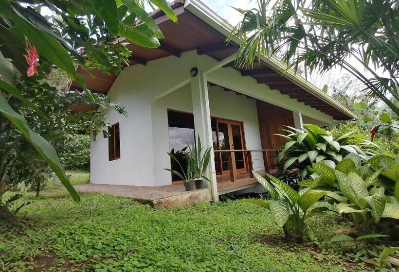 디럭스 룸 호수 전망, La Ceiba Tree Lodge