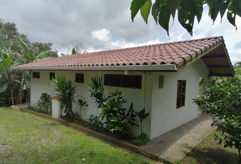 디럭스 룸 호수 전망, La Ceiba Tree Lodge
