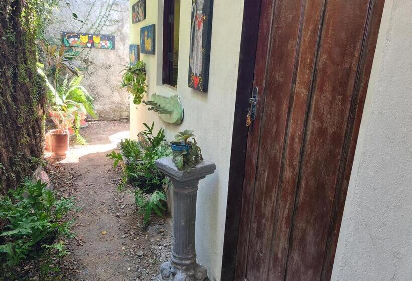 סוויטה אקזקיוטיב, Casa De Dan