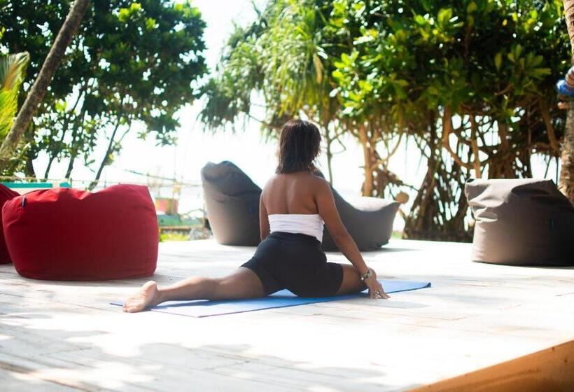Номер Deluxe Вид на Море, The Green Rooms Surf & Yoga Camp   On The Beach   Prime Location Renovated 2024
