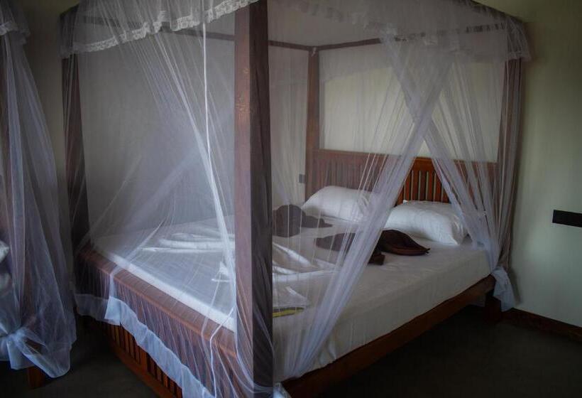 Номер Deluxe Вид на Море с Балконом, The Green Rooms Surf & Yoga Camp   On The Beach   Prime Location Renovated 2024