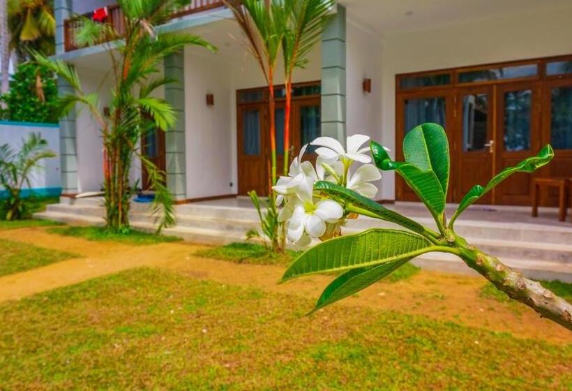 Номер Deluxe, The Green Rooms Surf & Yoga Camp   On The Beach   Prime Location Renovated 2024