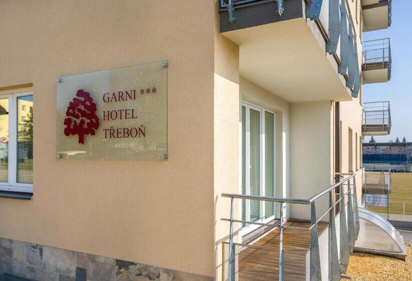 Номер Стандарт Индивидуальный, Garni Hotel Třeboň