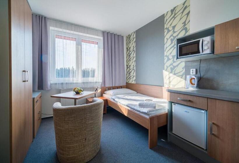 Pokój Standard Jednoosobowy, Garni Hotel Třeboň