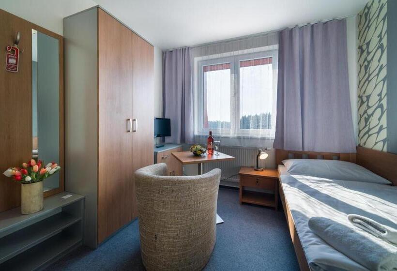 Номер Стандарт Индивидуальный, Garni Hotel Třeboň
