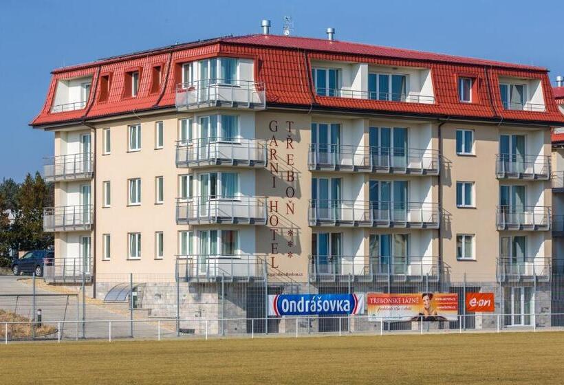 Pokój Standard Trzyosobowy, Garni Hotel Třeboň