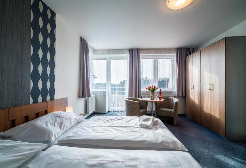 Номер Стандарт, Garni Hotel Třeboň
