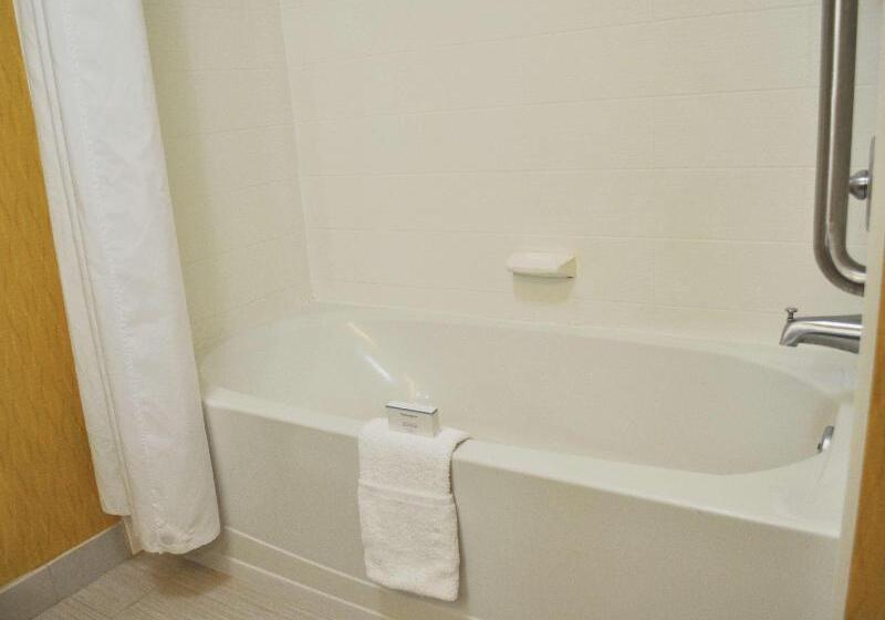 Стандартный Номер Кровать Кинг, Hampton Inn & Suites Toledo/westgate