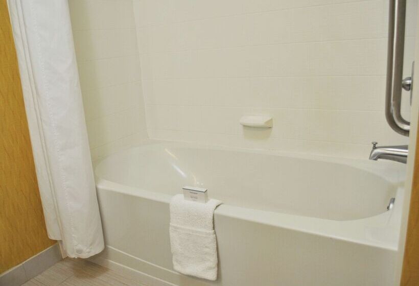 Студио Стандарт Кровать Кинг, Hampton Inn & Suites Toledo/westgate