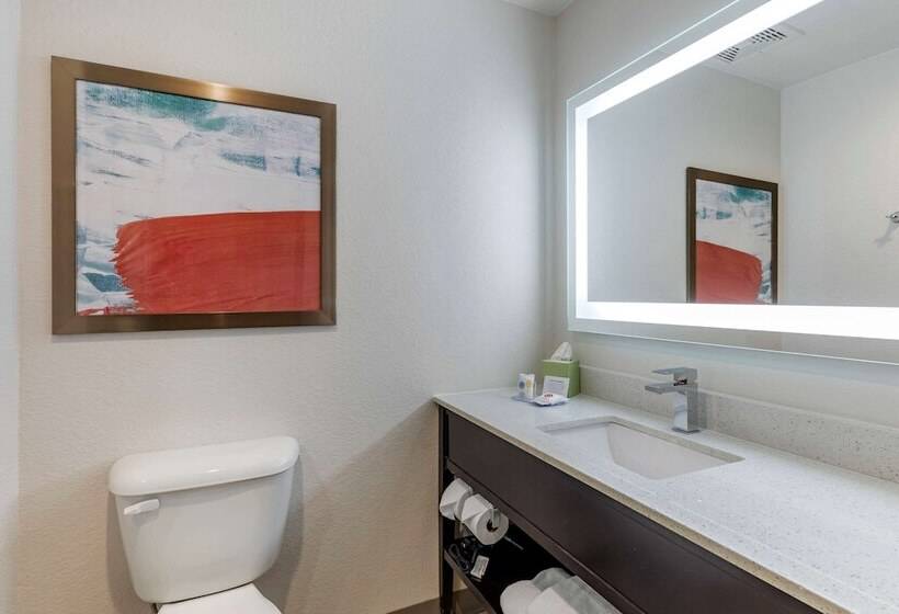 Люкс, Comfort Inn & Suites Bennett