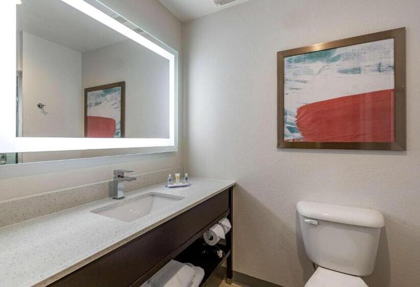 Номер Стандарт, Comfort Inn & Suites Bennett
