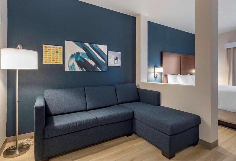 Люкс Адаптированный для Инвалидов, Comfort Inn & Suites Bennett