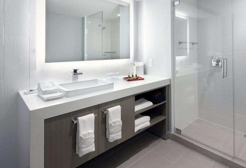 سوئیت برای معلولان, Hyatt Washington Dc/convention Center