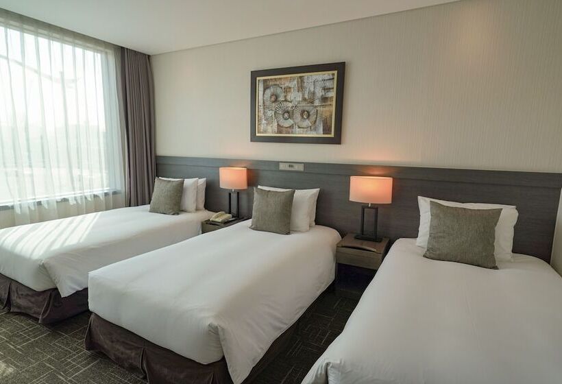 Quarto Triplo Estandar, Golden Seoul
