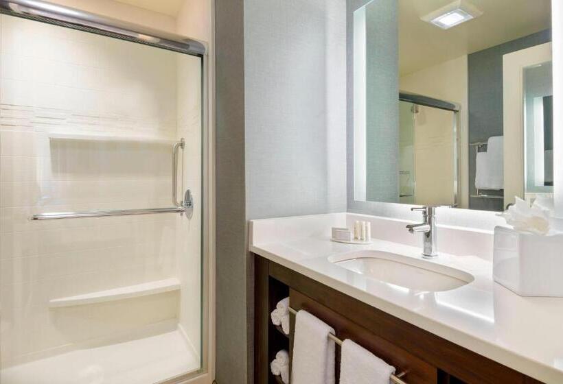 스탠다드 스튜디오 킹침대, Residence Inn By Marriott Fort Myers At I 75 And Gulf Coast Town Center