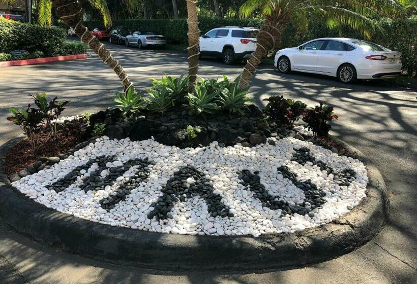 Standart Stüdyo, Maui Kai 507