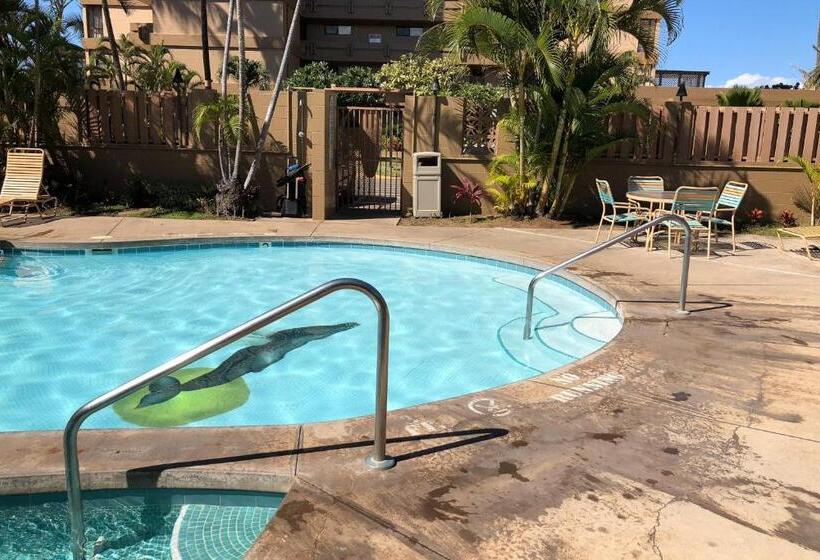 Standart Stüdyo, Maui Kai 507