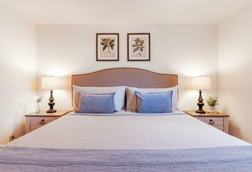 Апартаменты 1 Спальня, All New Historic Charmer In The Heart Of Durango