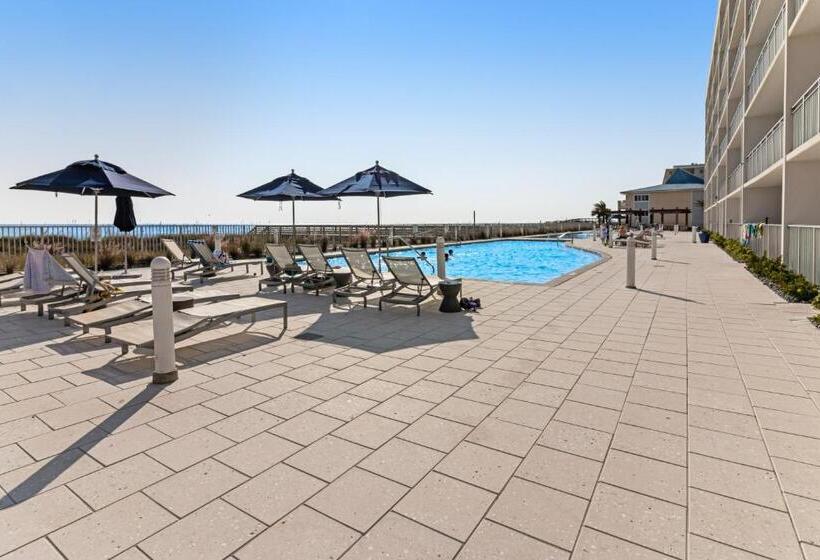 Апартаменты 1 Спальня, Blu Condos 301