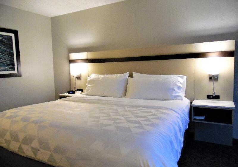 Номер Стандарт Кровать Кинг Адаптированный для Инвалидов, Holiday Inn   Bloomington   Normal, An Ihg
