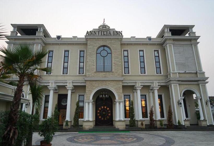 اتاق لوکس, Anntilia Inn